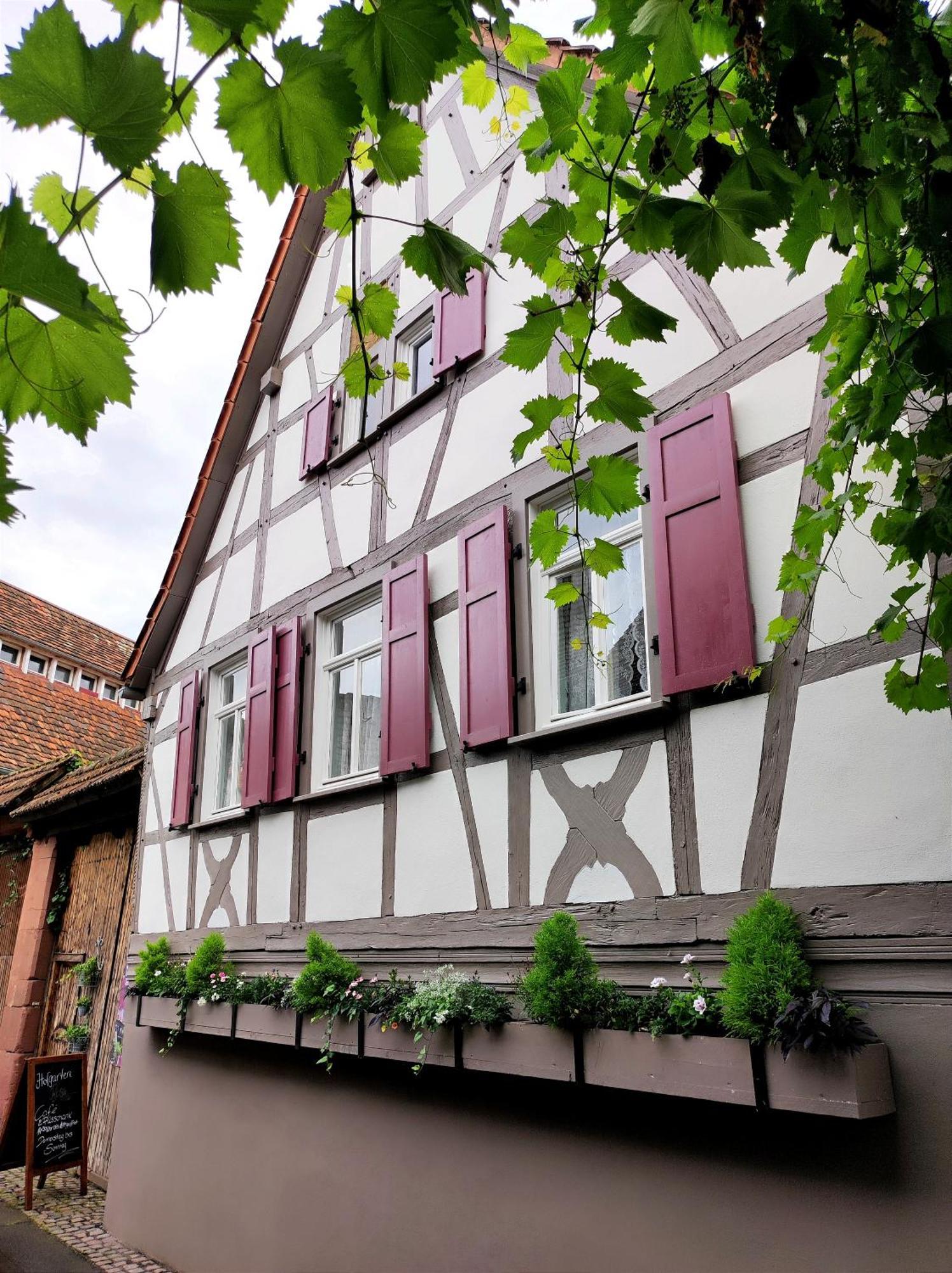 Hofgarten Rosa Ilbesheim bei Landau in der Pfalz Екстериор снимка