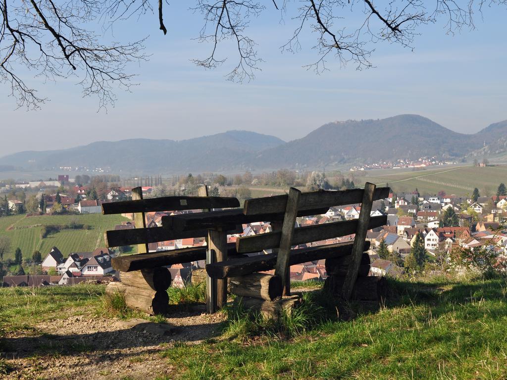 Hofgarten Rosa Ilbesheim bei Landau in der Pfalz Екстериор снимка