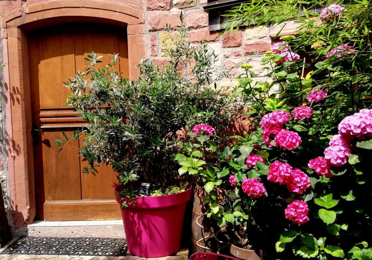 Hofgarten Rosa Ilbesheim bei Landau in der Pfalz Екстериор снимка